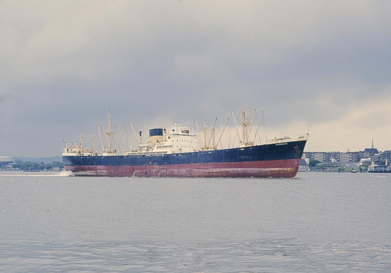Avonbank4