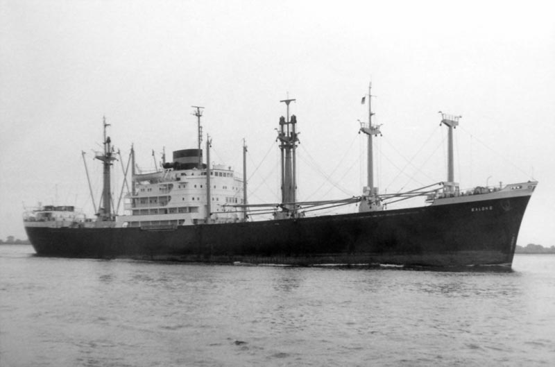 Balong1