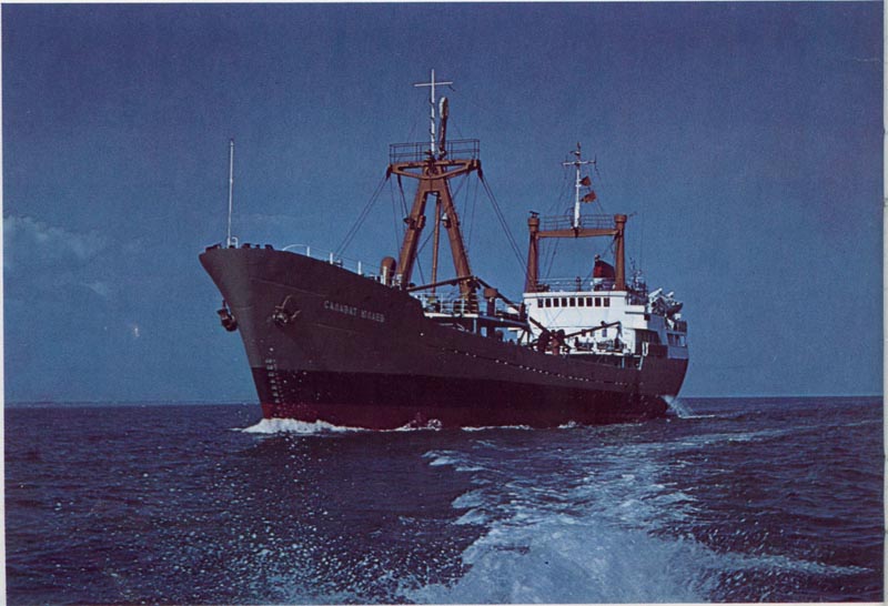 Salavat5