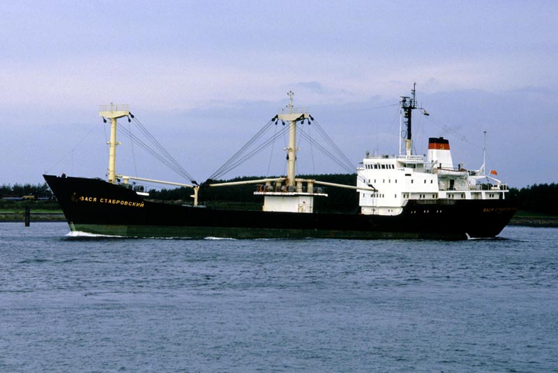 Vasya