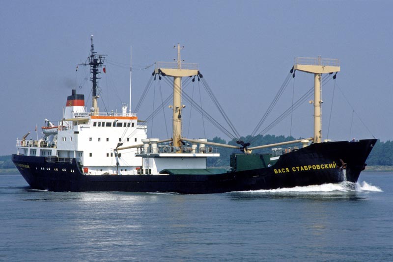 Vasya