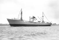 Algenib