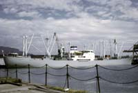 Hoegh