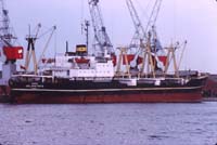 Jalamatsya