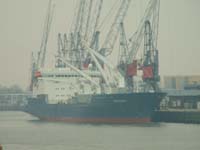 Polar