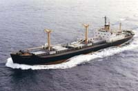 Transvaal__3